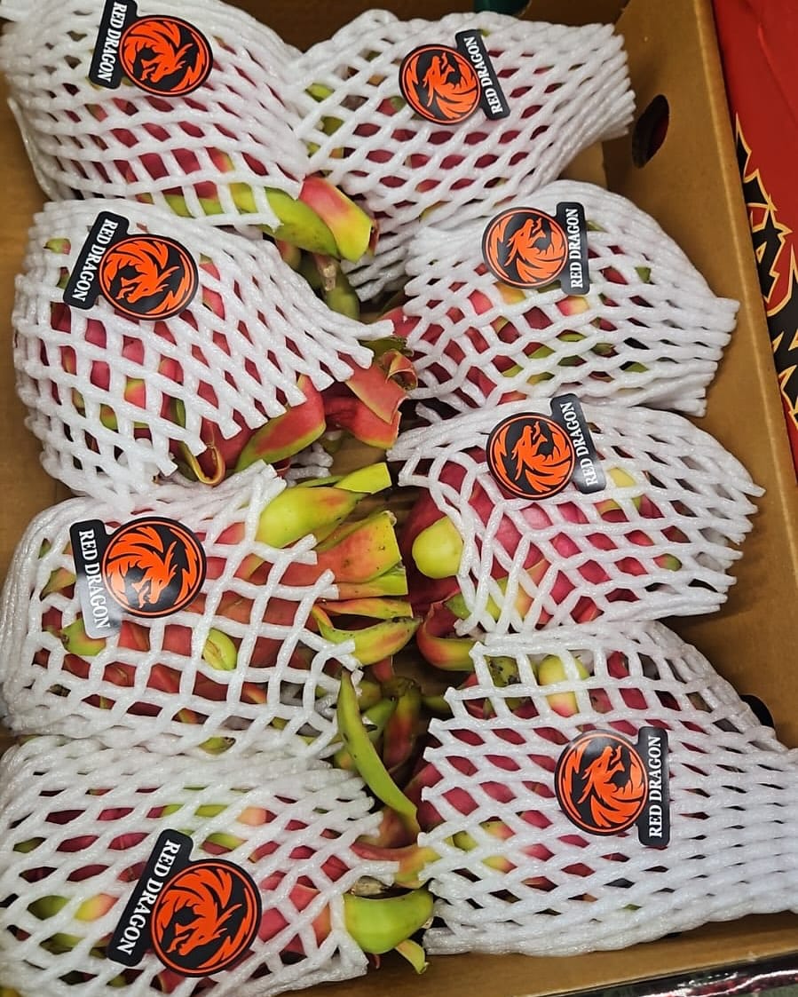 Dragon Fruit