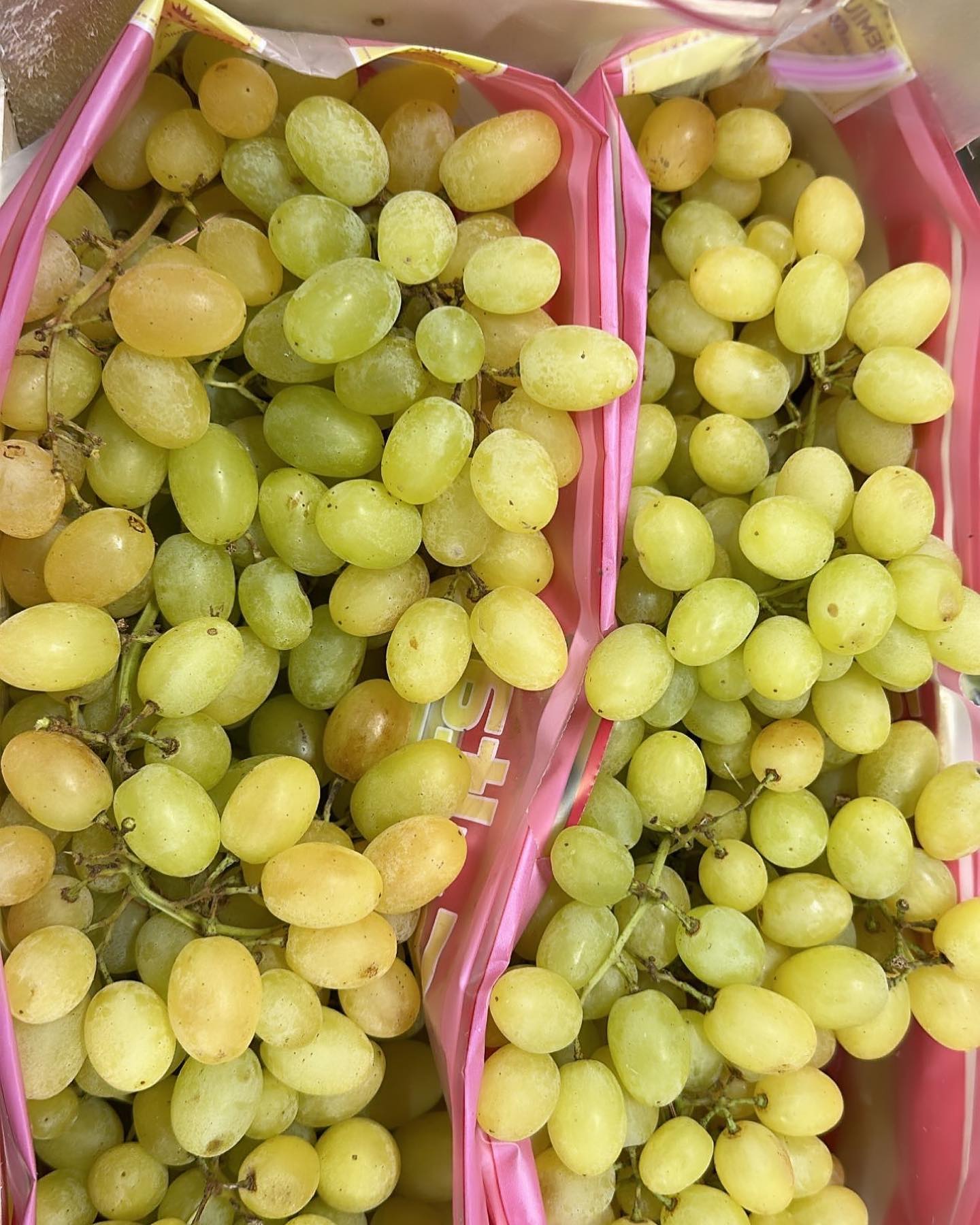 Grapes