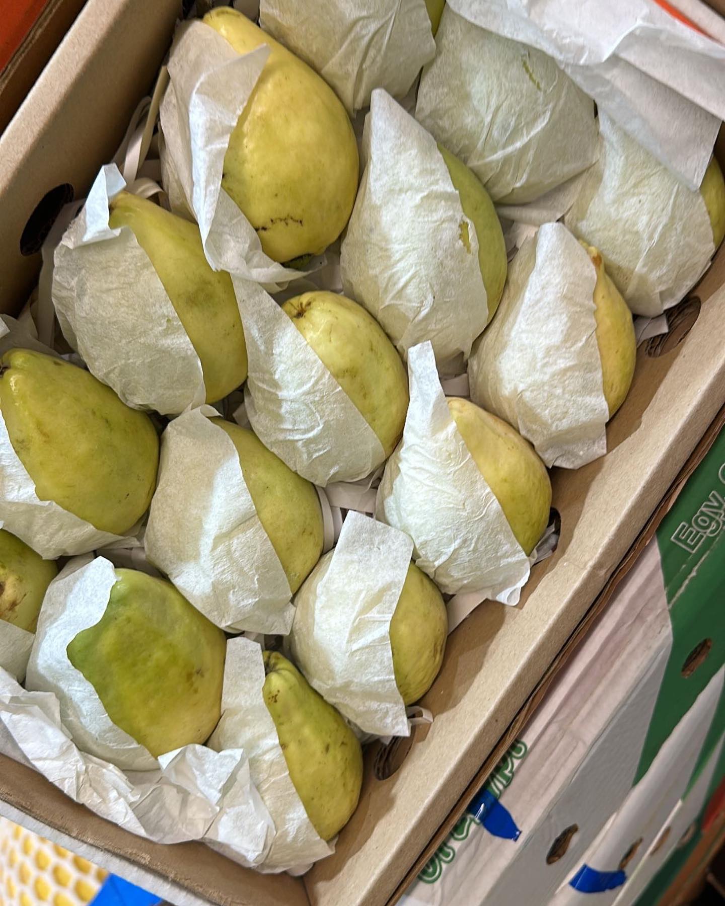 Pears