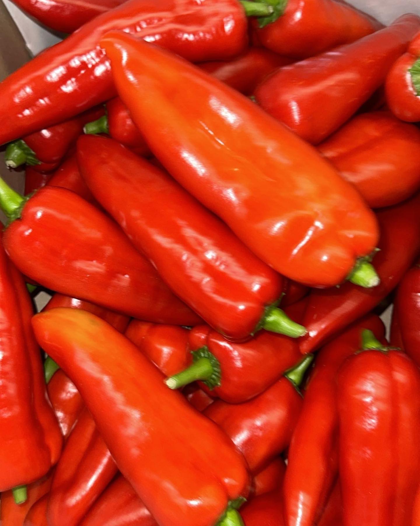 Red Peppers