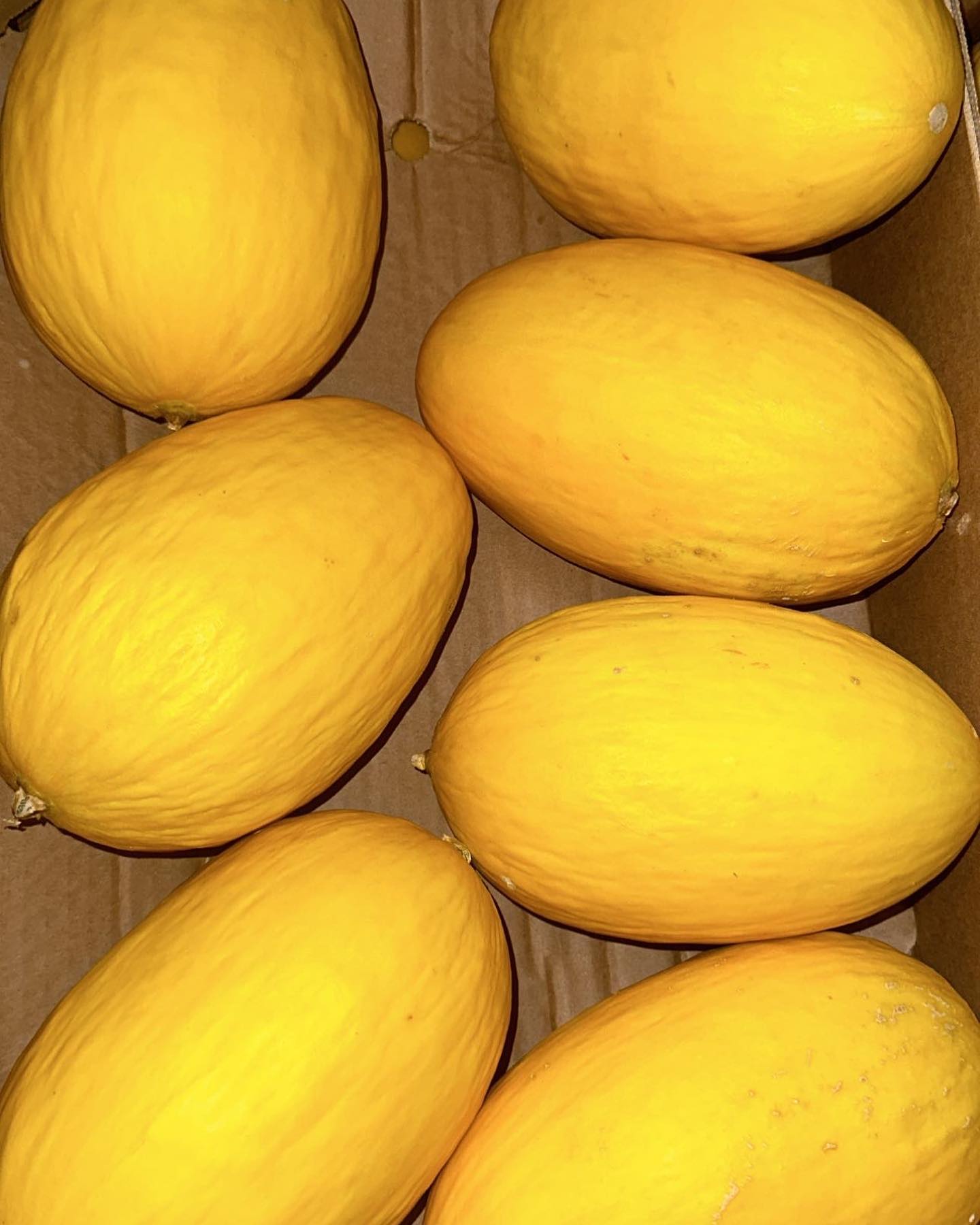 Yellow Melons